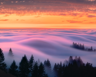 Rolling Fog