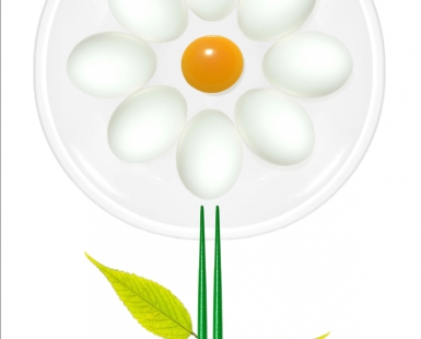 Eggs Flower