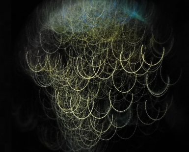 fungus 