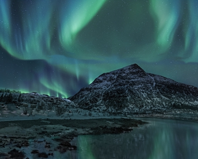 Boreal green