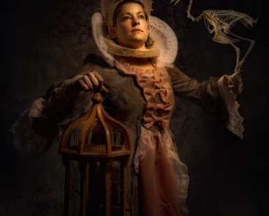 The Birdcage