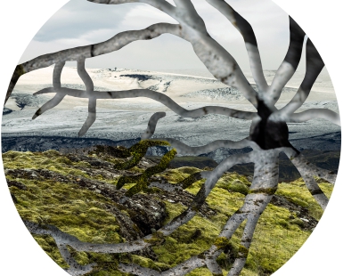 A Sense of Place - Imprints