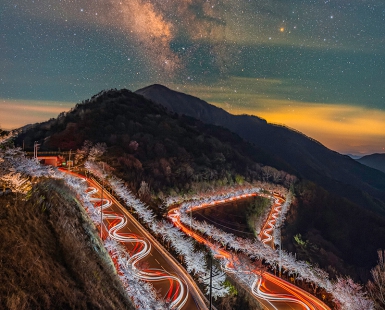 Starry night on the cherry blossom road