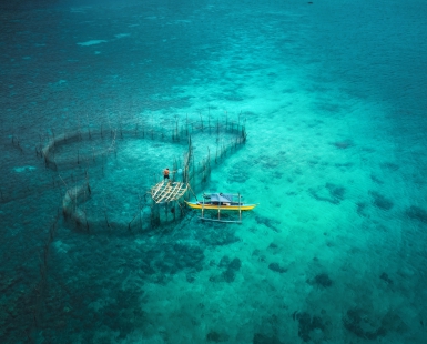 The farm in the ocean