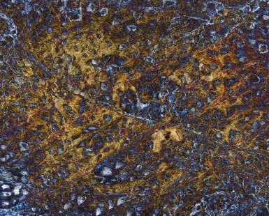 Sedimentary rock with pebbles