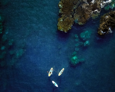 Ride the wind and the waves