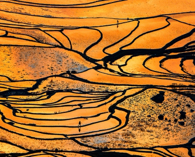 Terraced Field