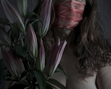 The pale moonlight of silence - Christine