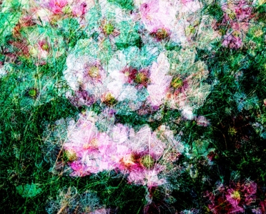 Sober Color