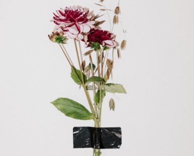 Flower on the wall