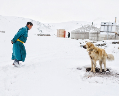 Nomadic Life. Mongolia