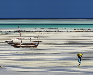La porte d'algue à Zanzibar