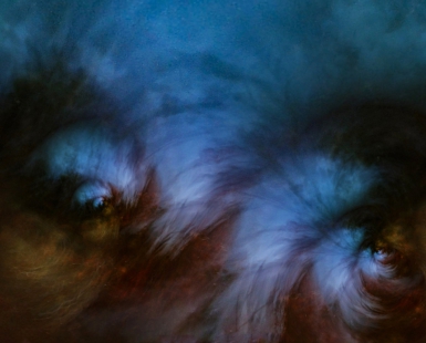 D'autres regard