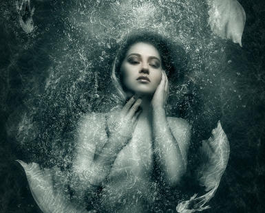 Mermaid and Her Guardians