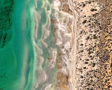 Golden Sands