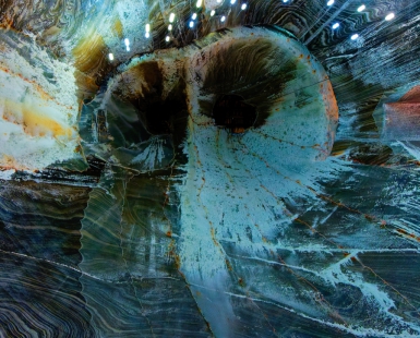 the cave owl