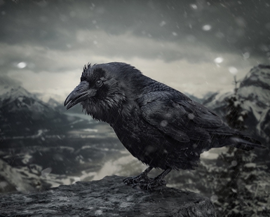 Omen
