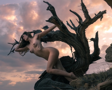 Juniper’s Song