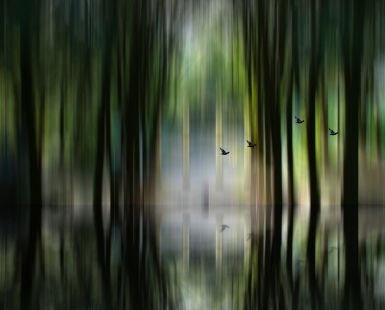 Boundary