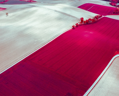 Field No.3 (From above)