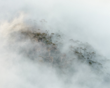 Veiled Landscape