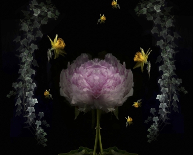 Need for lightness