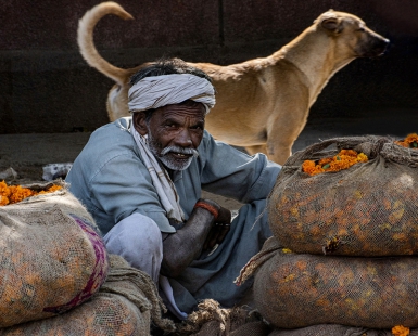 The Merigold seller