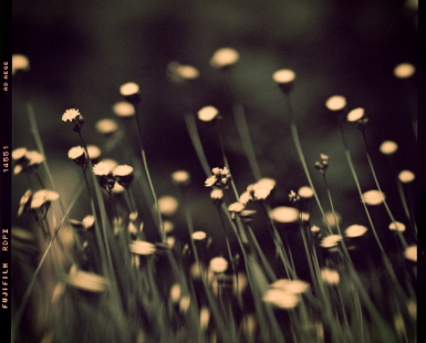Childhood Summer