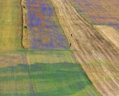 Rural landscape