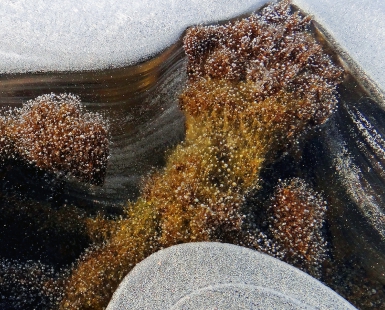 Ice Galaxy