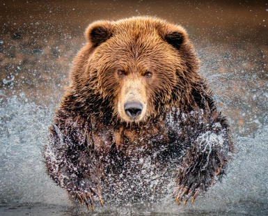 Anger