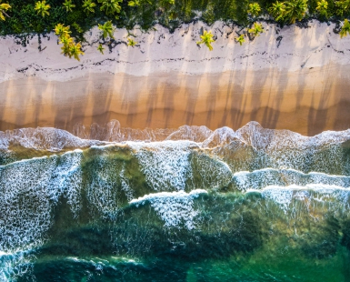Tranquil Tide