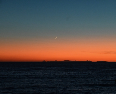 Moonlight