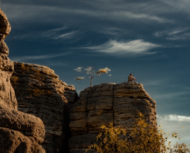 On a sandstone rock