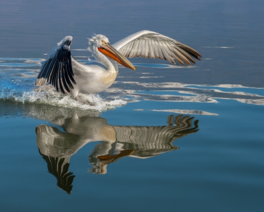 Reflecting