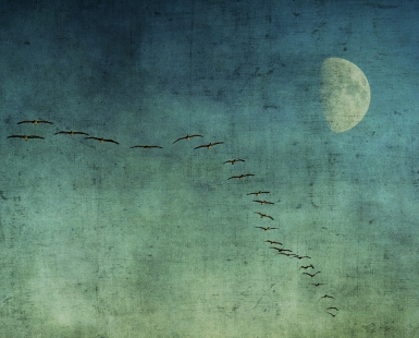 Formation Flying #2