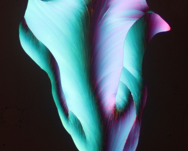 Sulfur Flower.