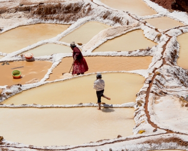 Toil (Sal de Maras)
