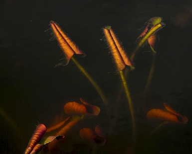 Under Water