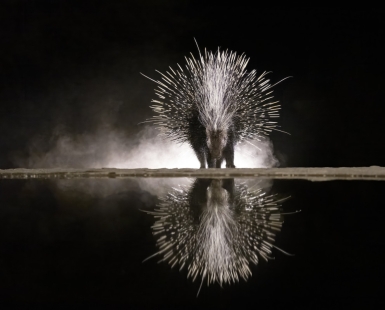 Reflections in the Night 3