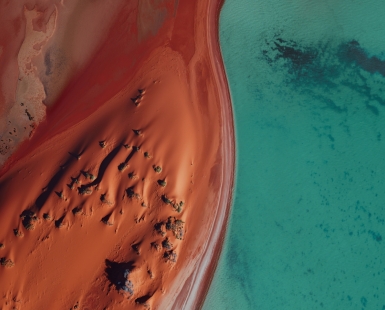 Dune