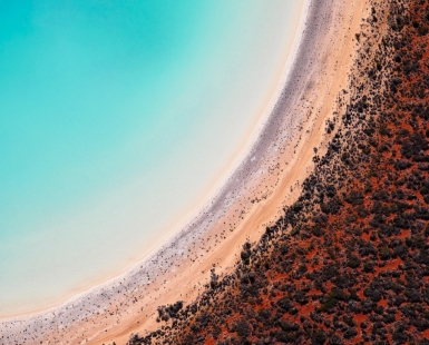 Solaris