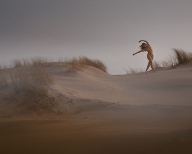 wind dance