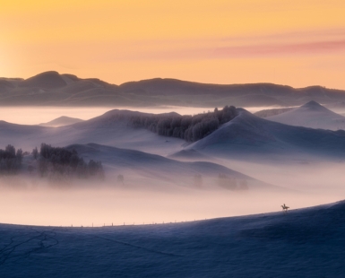 Fairyland