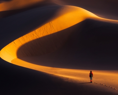 Desert Shadow