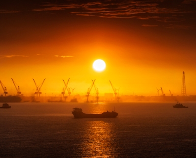 Harbor Sunrise