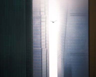 Freedom
