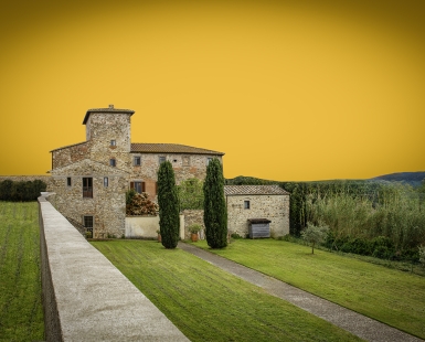 Chianti Yellow Gaze