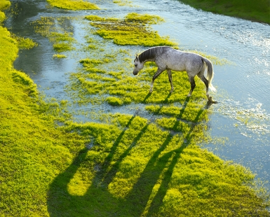 Across the river