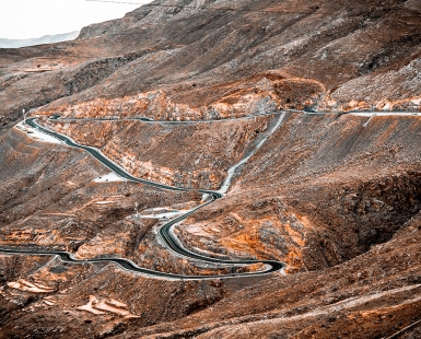 Asphalt Snake
